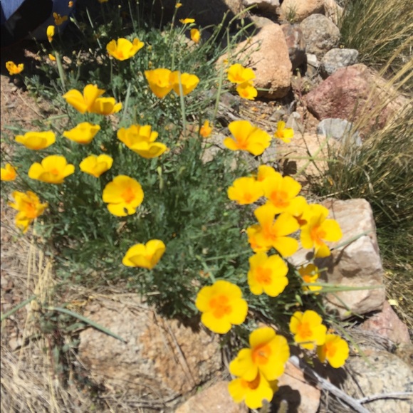 Hello there. ¡Hola! Hāi ! - Picture 7 of 7